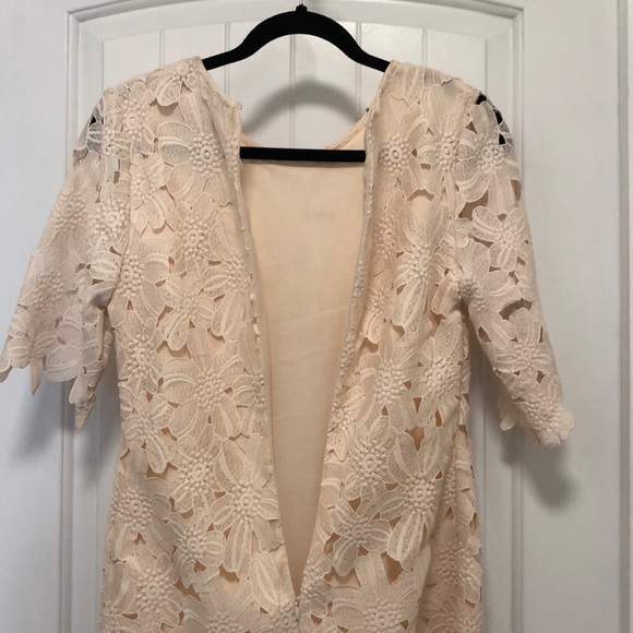 Forever 21 - Blush Lace Dress - Picture 9 of 13